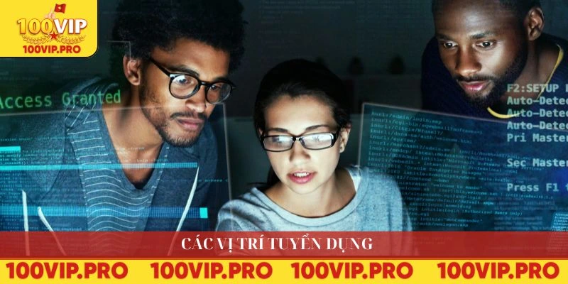 Các vị trí tuyển dụng